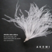 Picture of AKEMI Sleep Essentials Luxury Micro Down Quilt (S/Q/K)