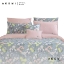 Picture of AKEMI Cotton Essentials At Home Bliss 700TC Fitted Sheet Set - Kalliste (SS/Q/K)