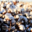 Picture of AKEMI Cotton Select Affluence 800TC Quilt Cover Set – Prysmian (SS/Q/K)