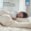 Picture of Ai By AKEMI Cotton Smitten 510TC Comforter Set - Jefford (SS/Q/K)